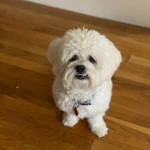 Meet your Posher, Andrea